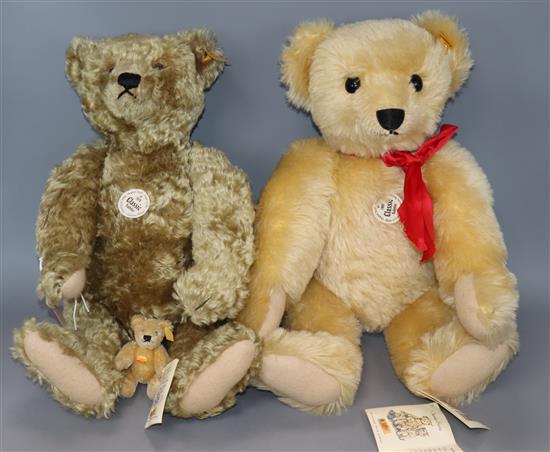 Two Steiff collectors bears and one Steiff mini bear